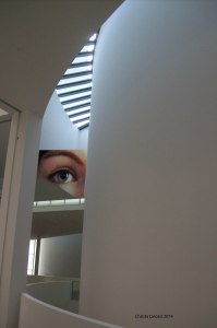 Blickrichtung  © Christa Linossi