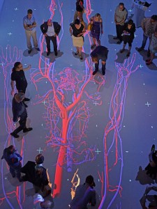 Human Bodies: The univers within/ © Ars Electronica