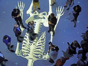 Human Bodies: The univers within/ © Ars Electronica