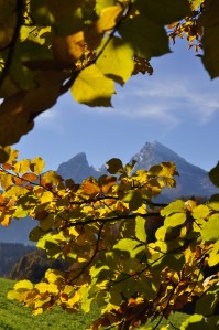 Foto Christa Linossi