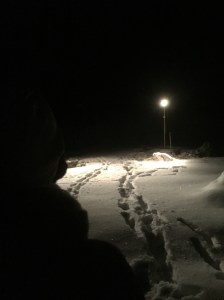 Escape /Leanne Wijnsma beim Graben Foto: Christa Linossi