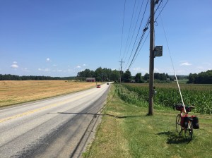 Hans Schabus, The Long Road from Tall Trees to Tall Houses (June 22nd, 2015), 2015, © bildrecht gmbh 
