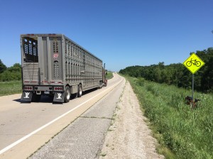 Hans Schabus, The Long Road from Tall Trees to Tall Houses (July 17th, 2015), 2015, © bildrecht gmbh