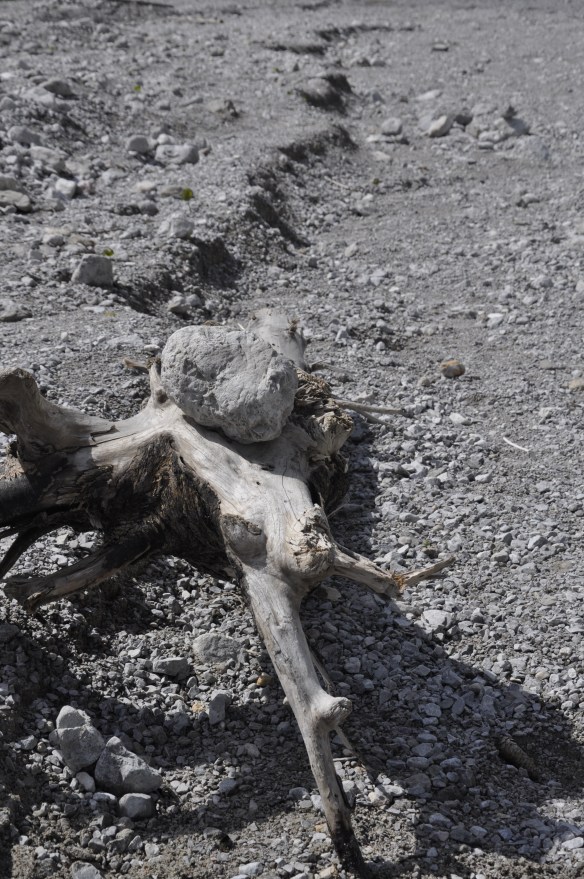 Phto: Christa Linossi / The Nature is the greatest artist