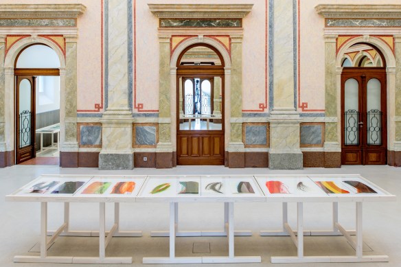 00_2015 10 22_KRA1351_print130x195mm